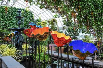 Chihuly glass exhibit blooms in the Bronx - Chicago Tribune