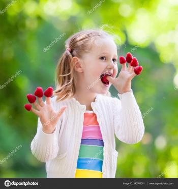 Child picking and eating raspberry in summer — Stock Photo ...