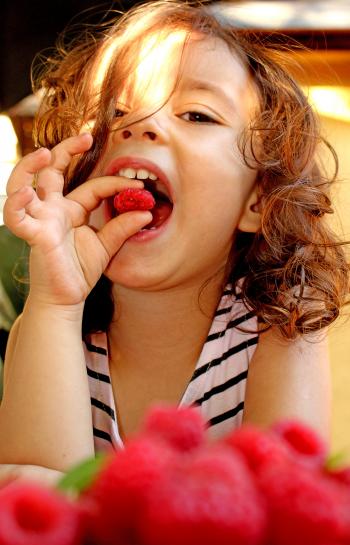 Child eating raspberries