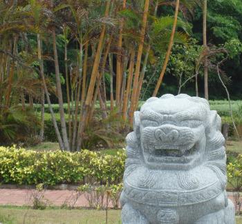Chinese Lion Garden Feature