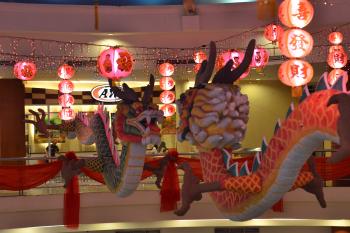 Chinese New Year Dragons