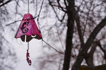Chinese pink lantern on a tree without leaves