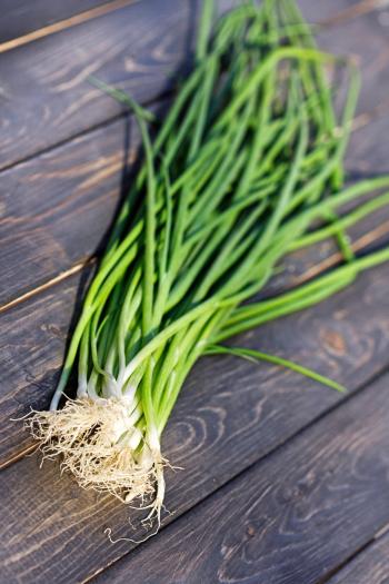 Chives Vs. Scallions