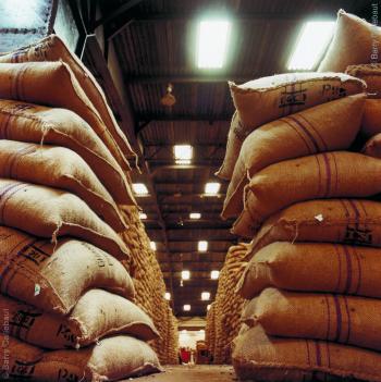 Barry Callebaut | 10 Facts: World's Largest Chocolate Factory