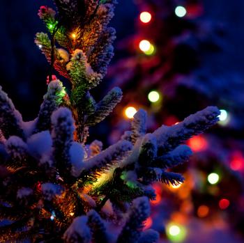 A Seraphic Fire Christmas
