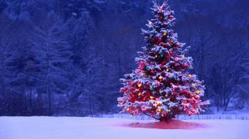 Christmas Skiing in St Anton with Kaluma Travel