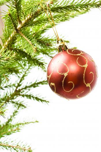 Christmas ball on branch