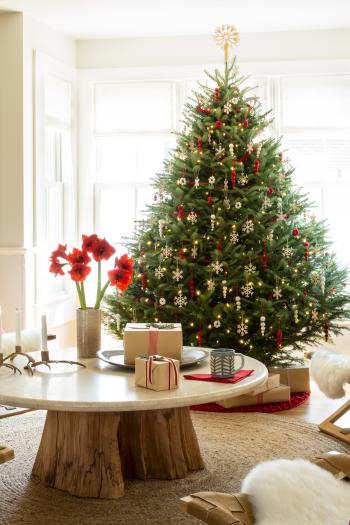 Excellent Corner Tabletop Christmas Decoration Featuring White Short ...