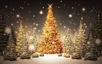 Best Places to Celebrate Christmas Holidays in Vietnam (Part 3 ...