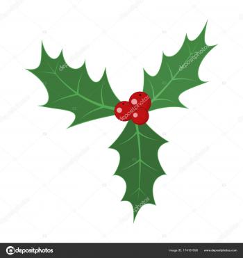 Christmas holly berry leaves. Vector illustration. — Stock Vector ...
