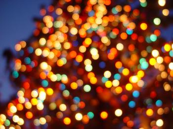 File:Xmas lights DC.JPG - Wikimedia Commons