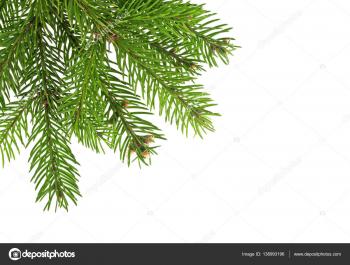 Christmas tree branches border over white — Stock Photo © domnitsky ...