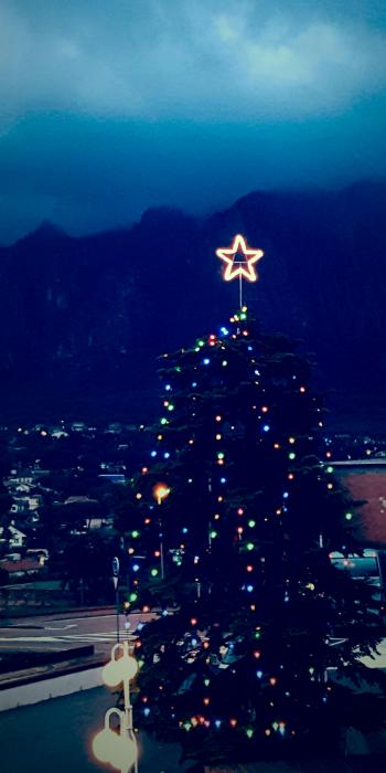 Christmas Tree during Nightime