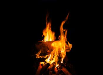 Close-up of Bonfire at Night