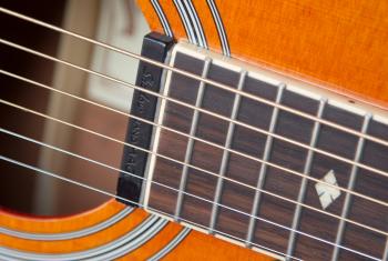 Close-up of Guitar