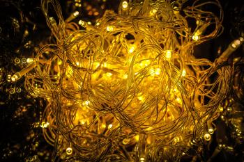 Close-up of Yellow Christmas Lights