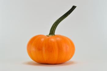 Close-Up Photography of A Pumpkin