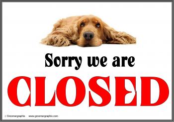 We're Closed Download — Groomergraphix