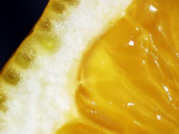 10 ways Lemons kick ash | Wausau News