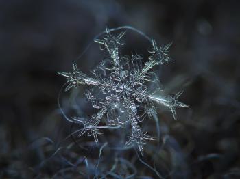 PHOTOGRAPHY] Snowflakes by Alexey Kljatov - ART FOR YOUR WALLPAPER
