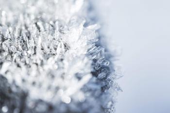 Morning Hoar Frost Frozen Snowflakes Close Up Free Stock Photo ...
