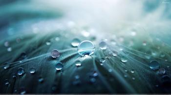 Water Drops Closeup Wallpaper