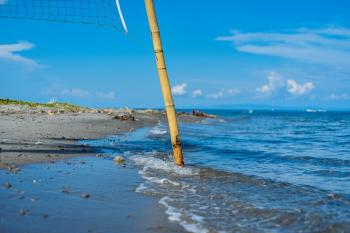 Closeup Photo of Brown Bamboo Beach Volleyball Post Near Shoreline