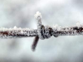 Closeup Photography of Ice Covered Metal Wire