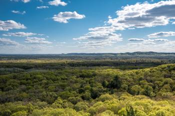 Landscape and clouds over the forest image - Free stock photo ...