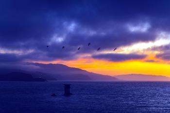 Free picture: cloudy, sky, during, sea, seascape,