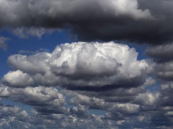 Pictures: Cloudy, - HUMAN ANATOMY CHART