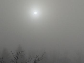 Foggy mornings, cloudy evenings | Fran LaPlaca
