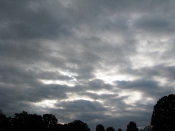 Touch the Sky » Pamela Stead Jones