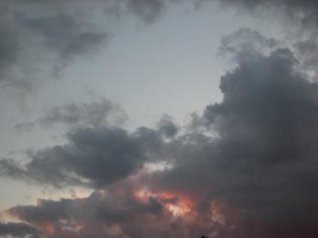 cloudy sky | goodfruit