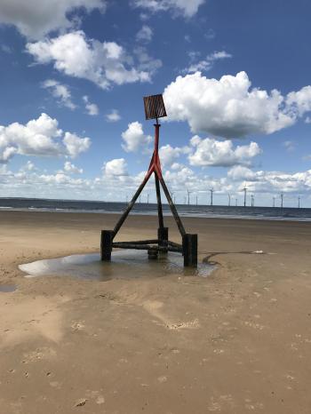 On the beach in the U.K. : whatisthisthing