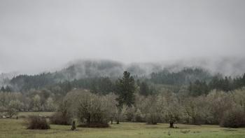 Coastal range in the winter, Oregon