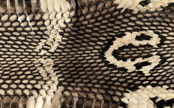 Cobra Snake Skin | Pattern: Natural | Pinterest | Snake, Cobra snake ...