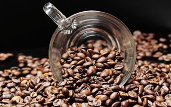 Coffee threatened by climate change, disease, pests