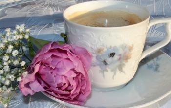Coffee and Flower