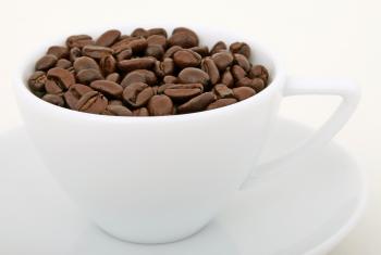 Coffee Bean on White Ceramic Mug