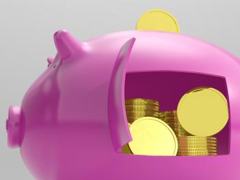 Coins In Piggy Shows Savings And Investment