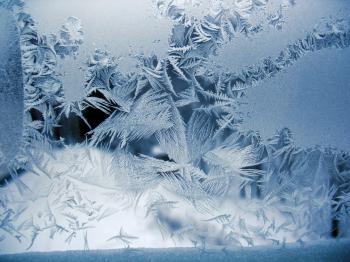 Cold Winter - Classic Hardwood Floors