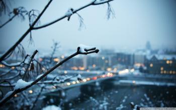 Cold Evening ❤ 4K HD Desktop Wallpaper for 4K Ultra HD TV • Wide ...