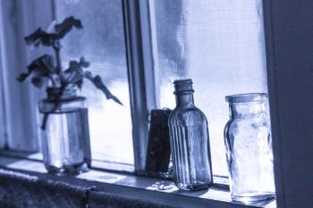 Still Life: Cold Winter Light - Bedlam Farm Journal Bedlam Farm Journal