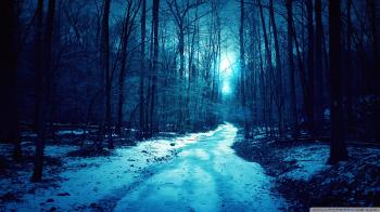 Cold Winter Day ❤ 4K HD Desktop Wallpaper for 4K Ultra HD TV • Wide ...