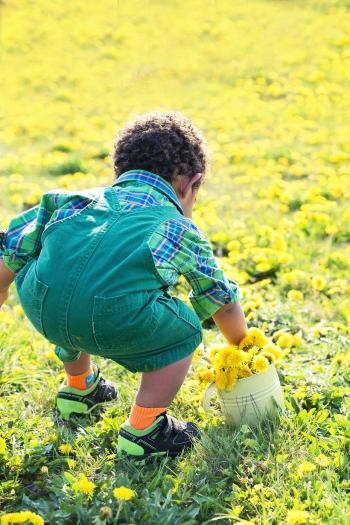Collecting Dandelions