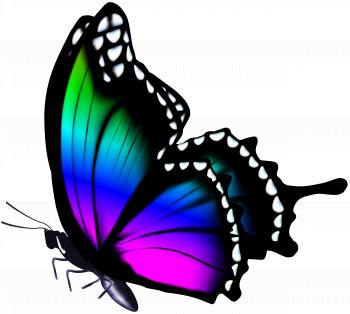 Colorful Butterfly PNG Clip Art Image | Gallery Yopriceville - High ...