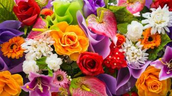 Beautiful Colorful Flowers Wide - Wallpaper Gallery