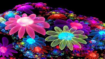 Colorful Flower Wallpaper 3D - 2018 Cute Screensavers