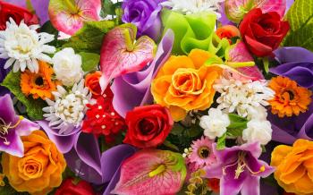 colorful flowers wallpaper hd images | ololoshenka | Pinterest ...